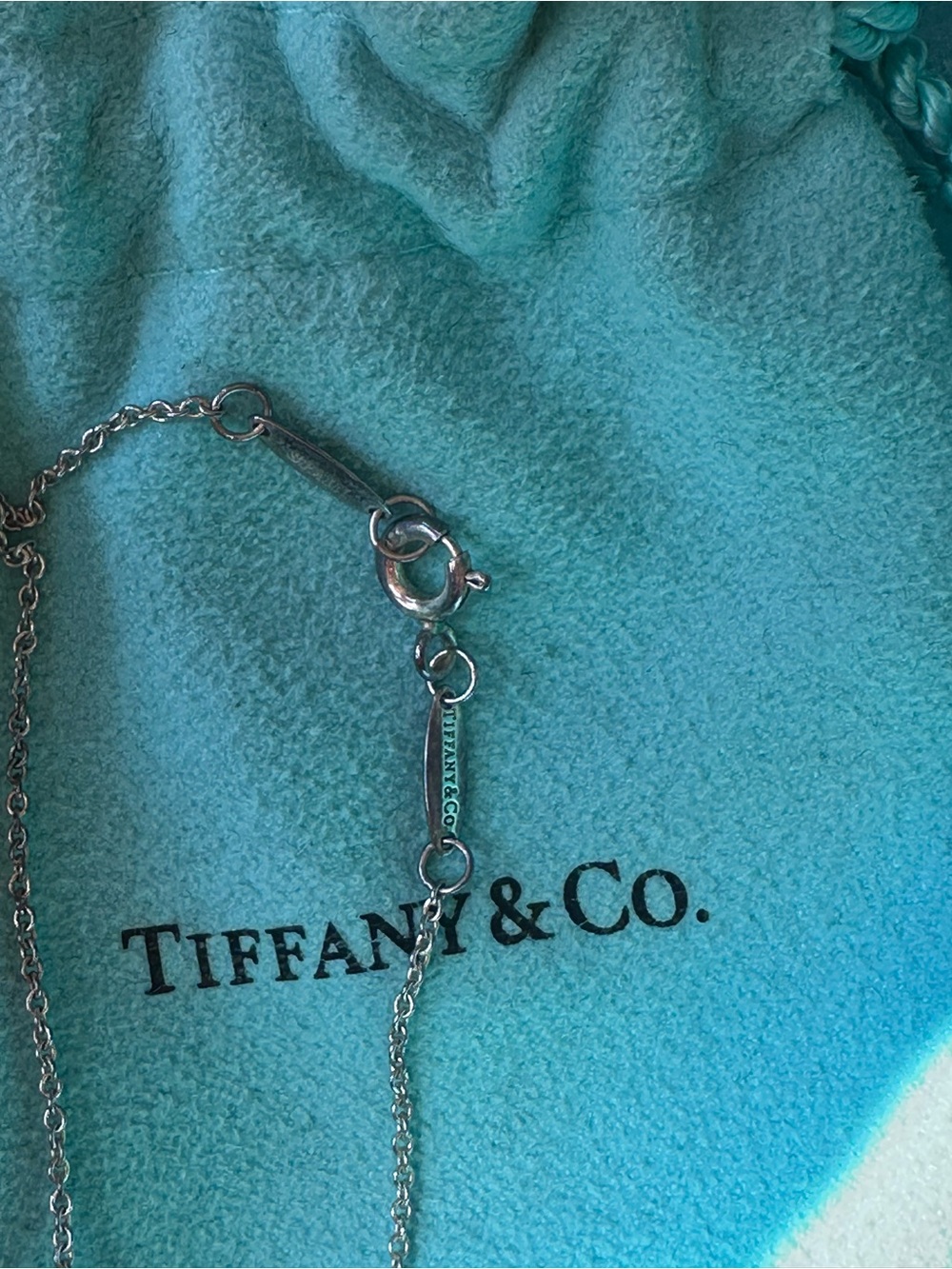Tiffany & Co. Elsa Peretti Sterling Silver Bean Pendant Necklace - Turquoise - Picture 6 of 15